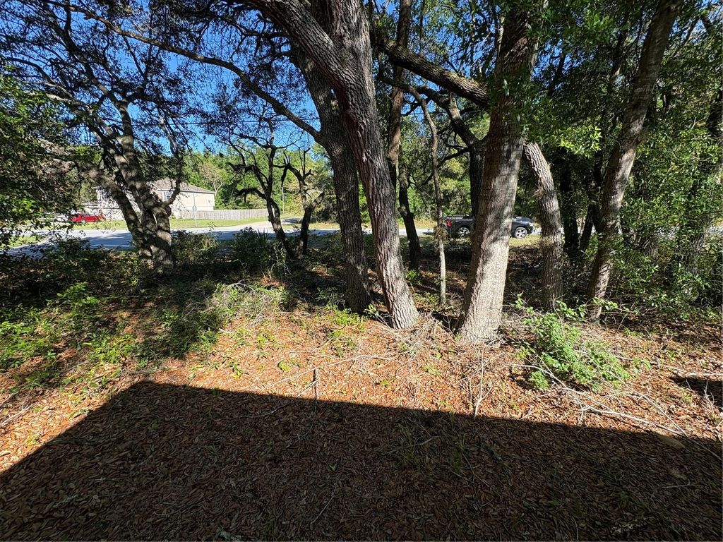 Photo of 2758 W Century Boulevard, Citrus Springs, FL 34434 (MLS # OM722634)