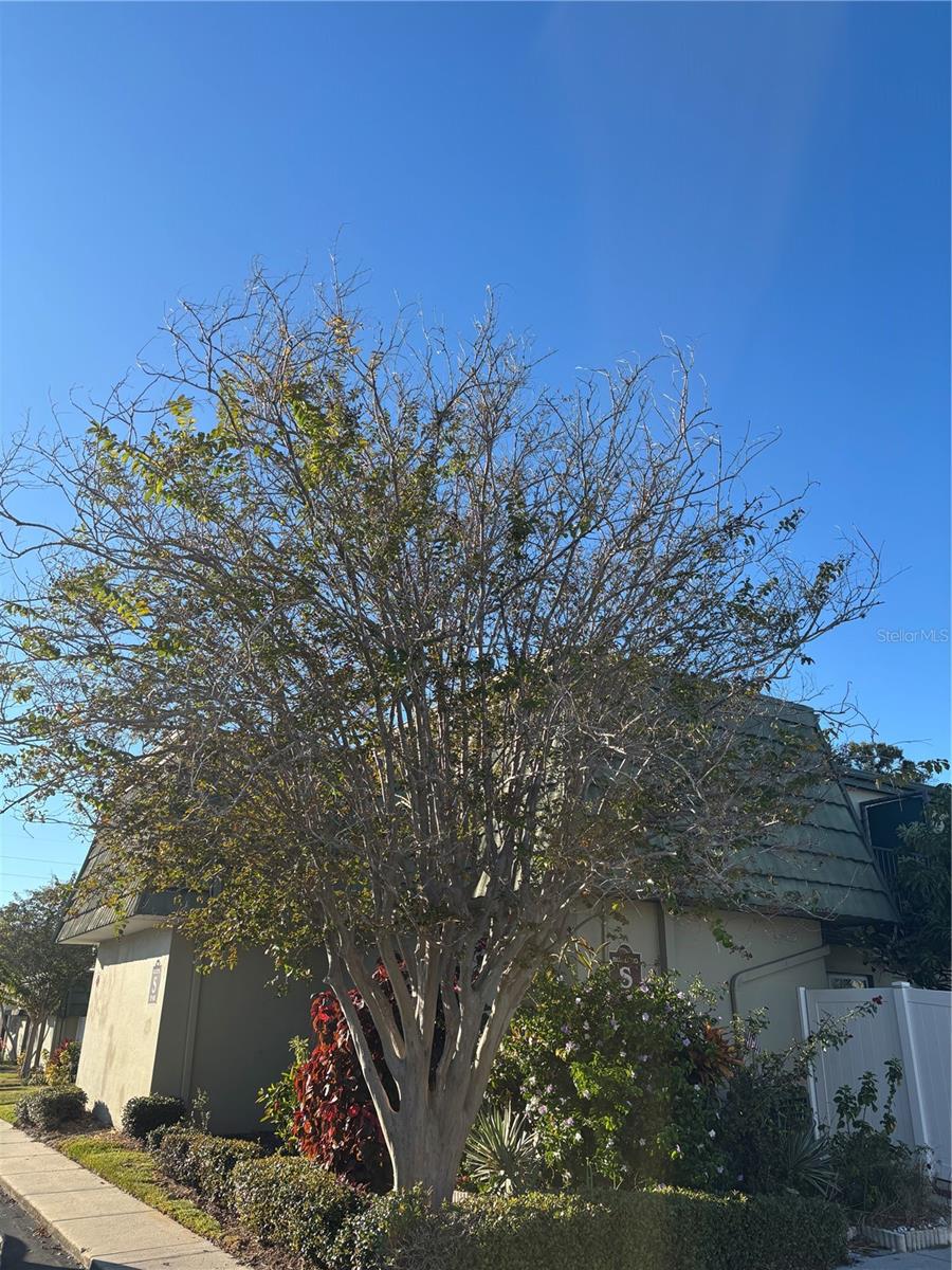 FOUNTAIN SQUARE CONDO - Residential Lease