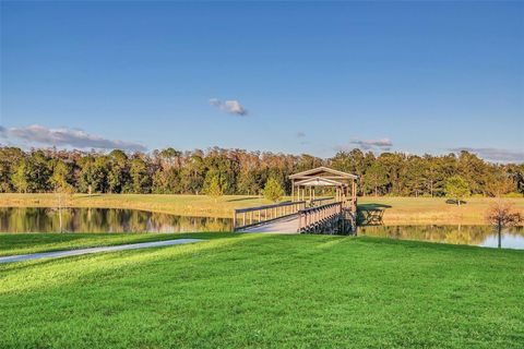 A home in KISSIMMEE