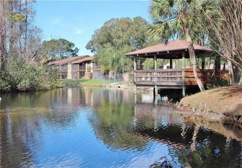 A home in SAFETY HARBOR