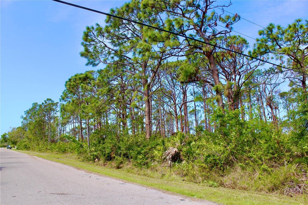 Photo of 5237 Chaney Terrace, Port Charlotte, FL 33981 (MLS # C7510499)