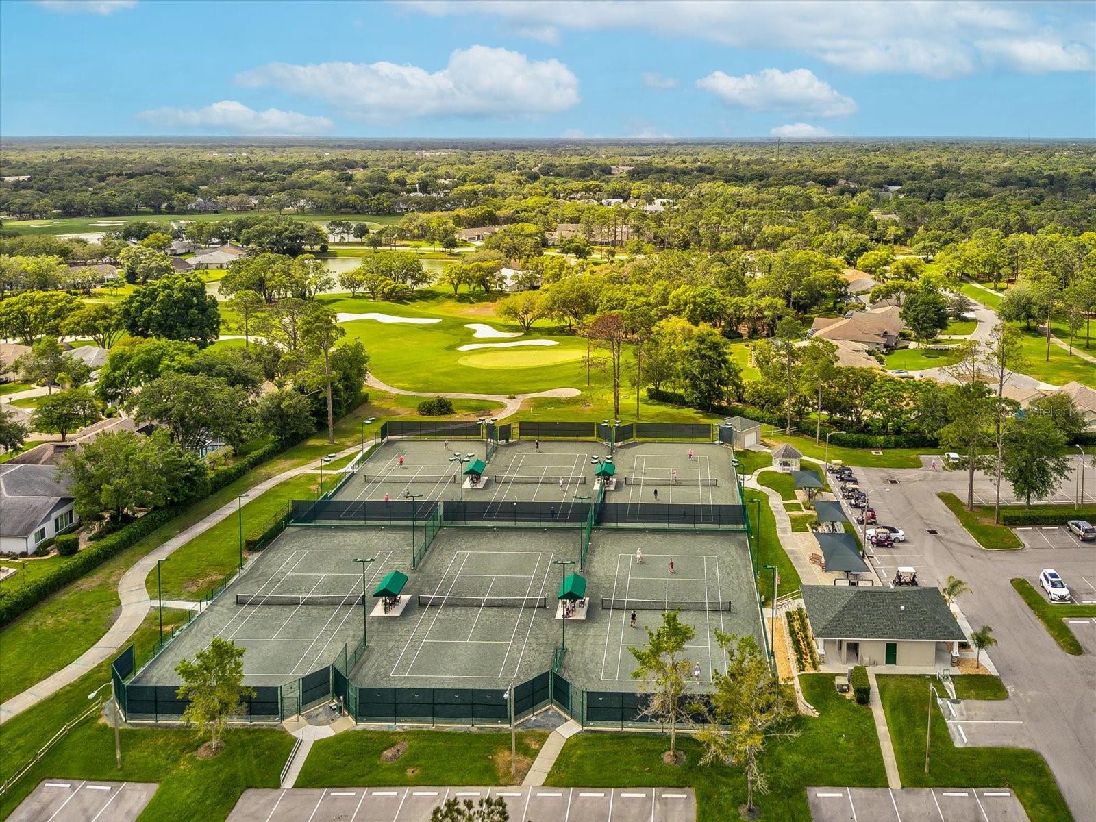 TIMBER PINES - Residential