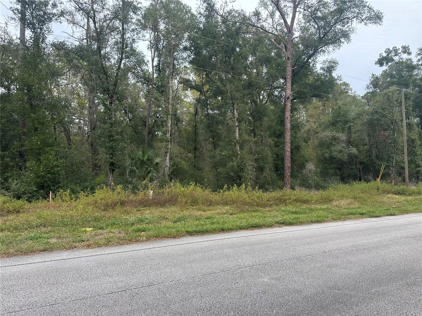 CITRUS SPGS UNIT 17 - Land