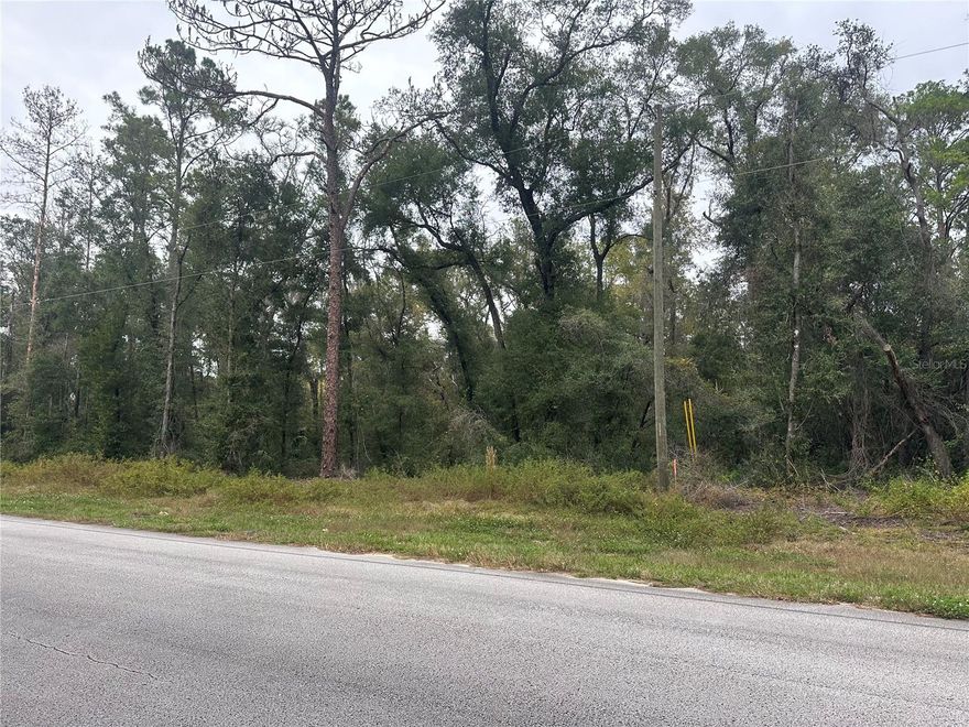 Exceptional Opportunity! This .66 acre commercial lot in highly sought after Citrus Springs features power and water on-site and endless potential for your business or investment property. Don't miss your chance to invest in this growing area.