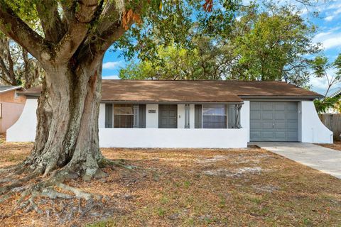 A home in TAMPA