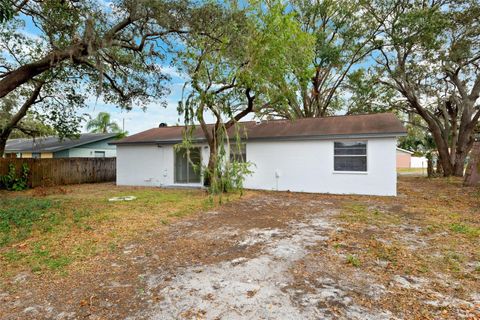 A home in TAMPA