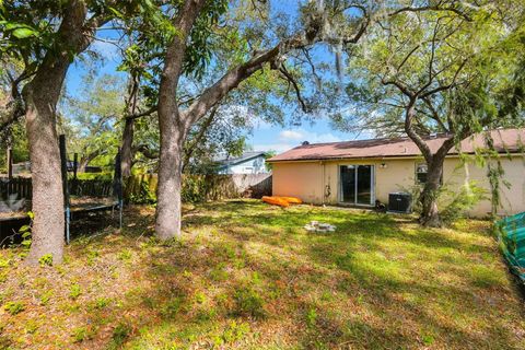 A home in TAMPA