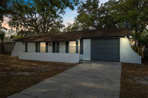 A home in TAMPA