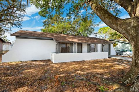 A home in TAMPA