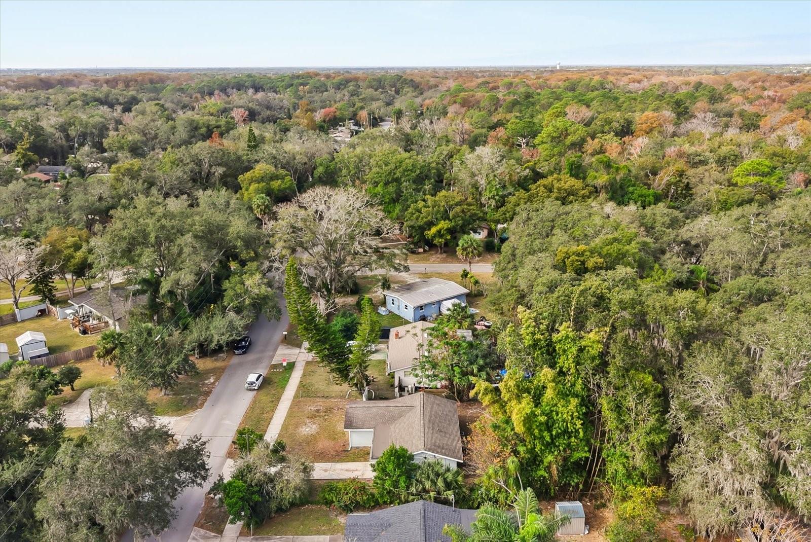 LONGWOOD PARK - Residential