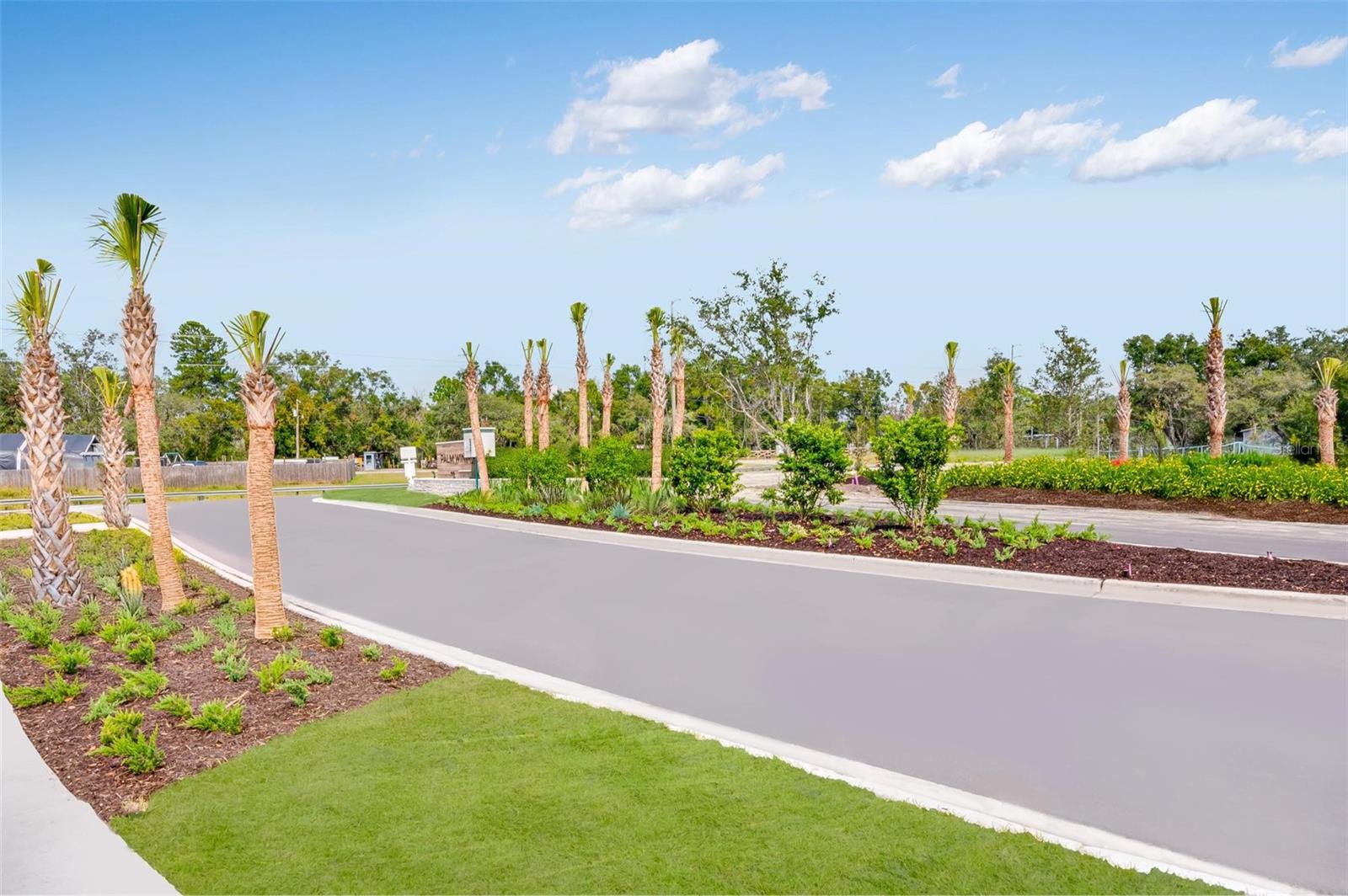 PALM WIND - Residential