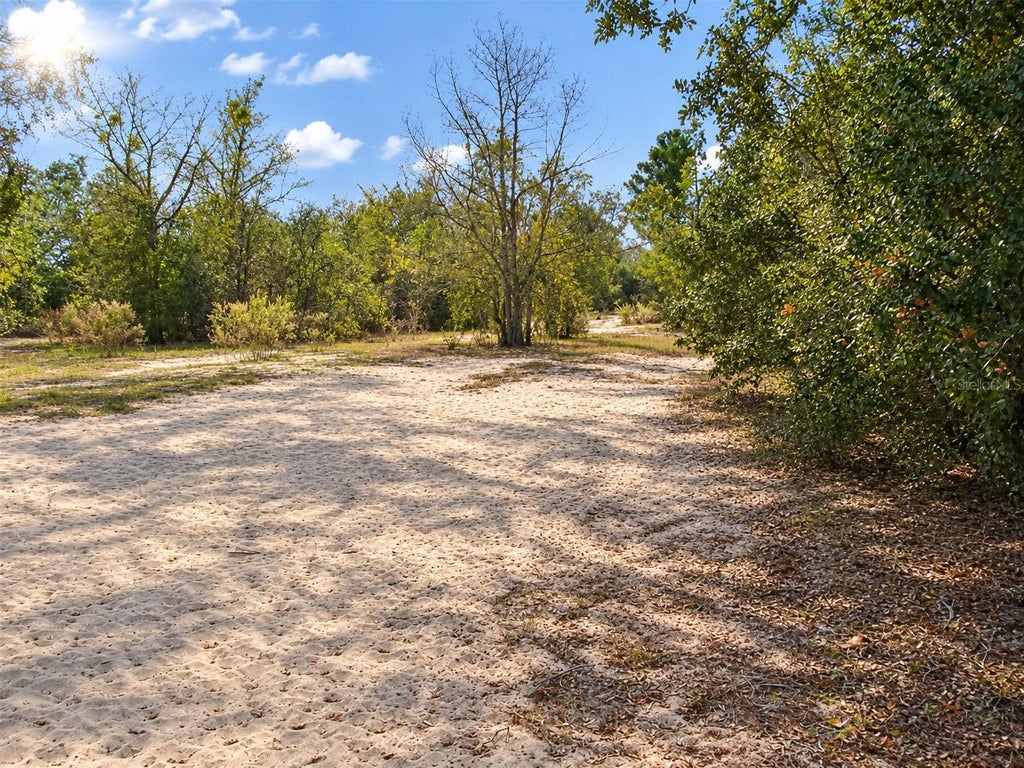 Photo of 11951 Holland Drive, Leesburg, FL 34788 (MLS # O6451078)
