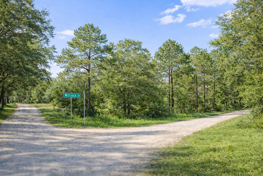 Photo of 0 Millrock Street, Webster, FL 33597 (MLS # TB8482771)