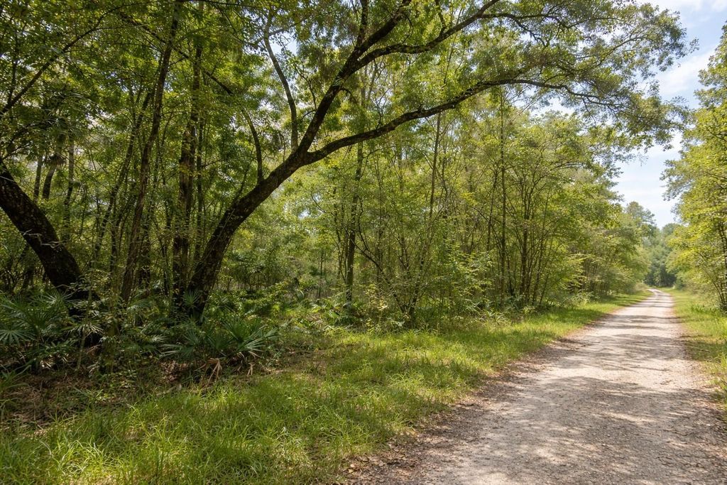 Photo of 0 Millrock Street, Webster, FL 33597 (MLS # TB8482771)