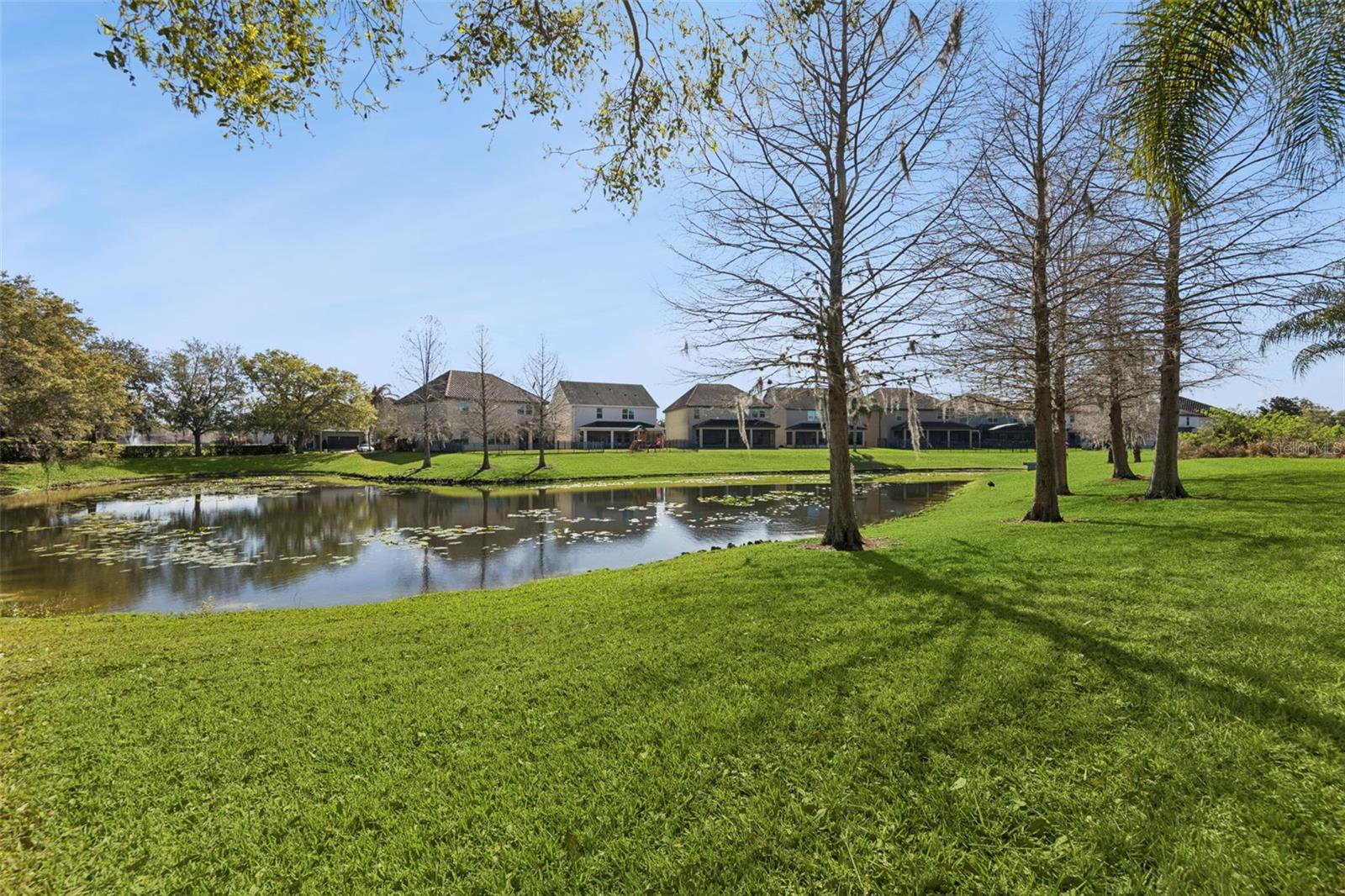 JOHNS LAKE POINTE A & S - Residential