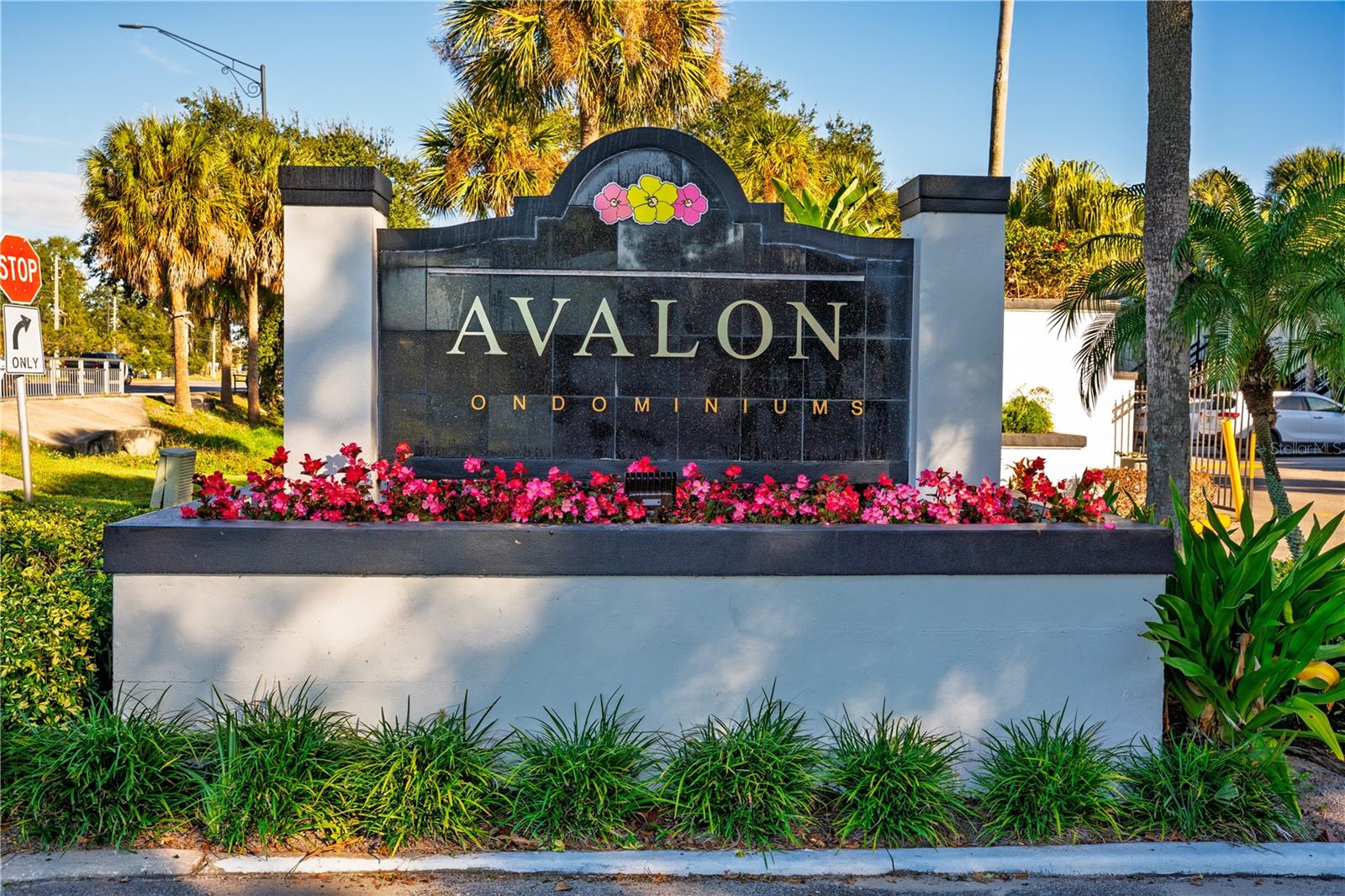 AVALON CONDO - Residential