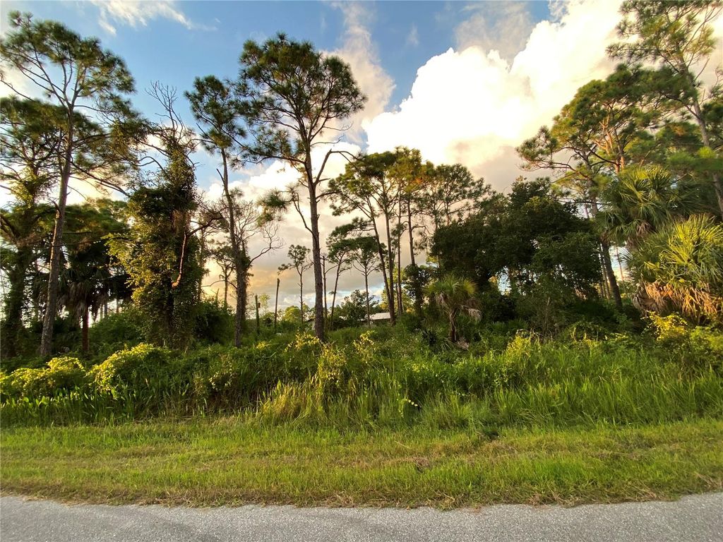 Photo of 12078 Joyner Avenue, Port Charlotte, FL 33953 (MLS # A4665715)