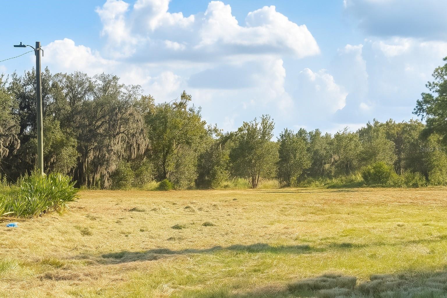 WEST PLANT CITY - Land