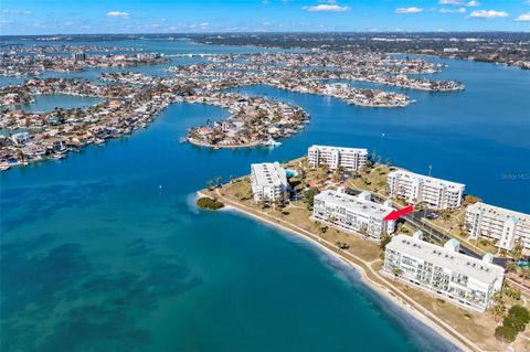 A home in ST PETE BEACH