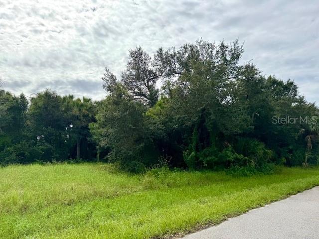 Welcome to your opportunity to own a beautiful piece of land in a SERENE and PRIVATE setting, FREE from HOA restrictions and OUTSIDE of a FLOOD ZONE!! This property offers the perfect combination of peace and convenience-tucked away for privacy yet minutes from shopping, dining, and everyday amenities. Whether you're looking to design a custom home or hold onto a valuable piece of property in a growing community, this land offers ENDLESS possibilities. Don't miss your chance to create the lifestyle you've been DREAMING of.