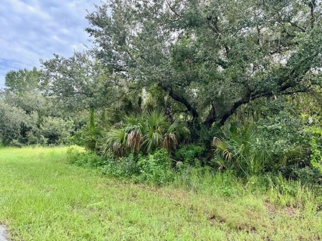 Photo of 318 Leona Street, Port Charlotte, FL 33954 (MLS # C7514027)