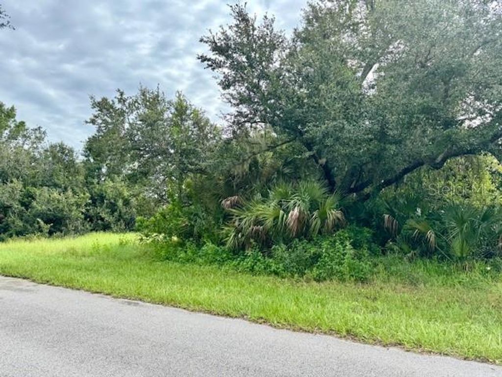Photo of 318 Leona Street, Port Charlotte, FL 33954 (MLS # C7514027)