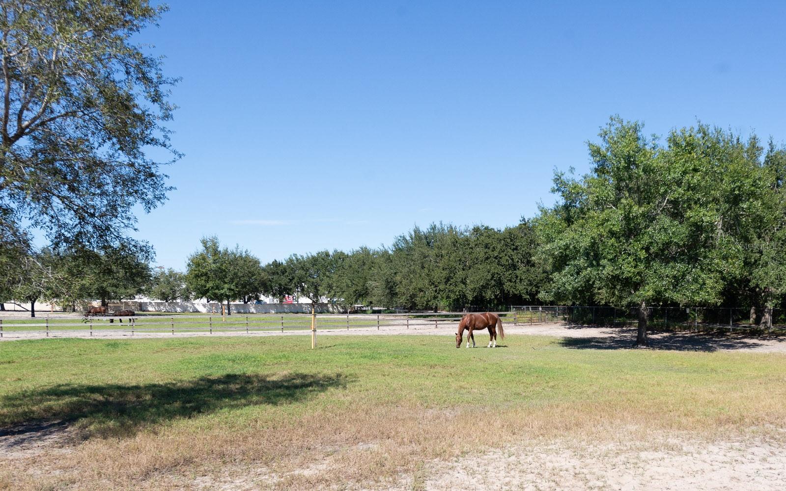 GOLDEN ACRES - Residential