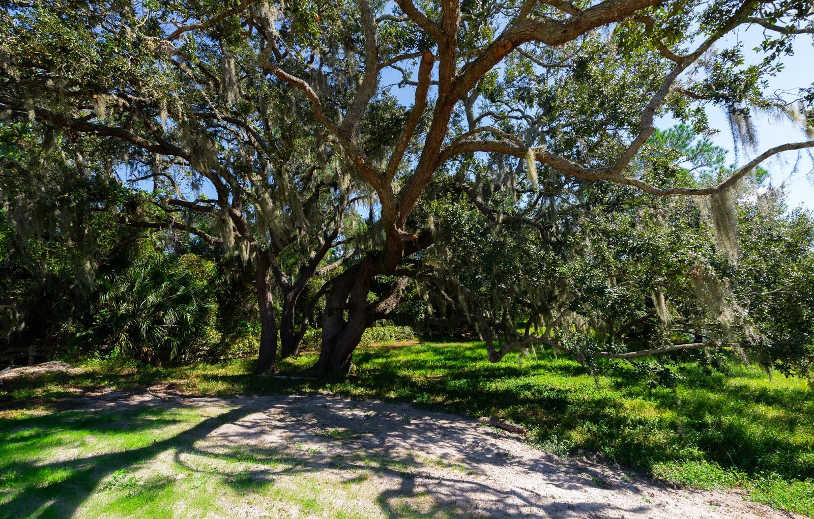 GOLDEN ACRES - Residential