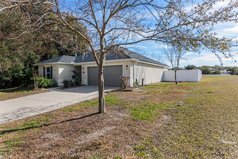 A home in DELAND