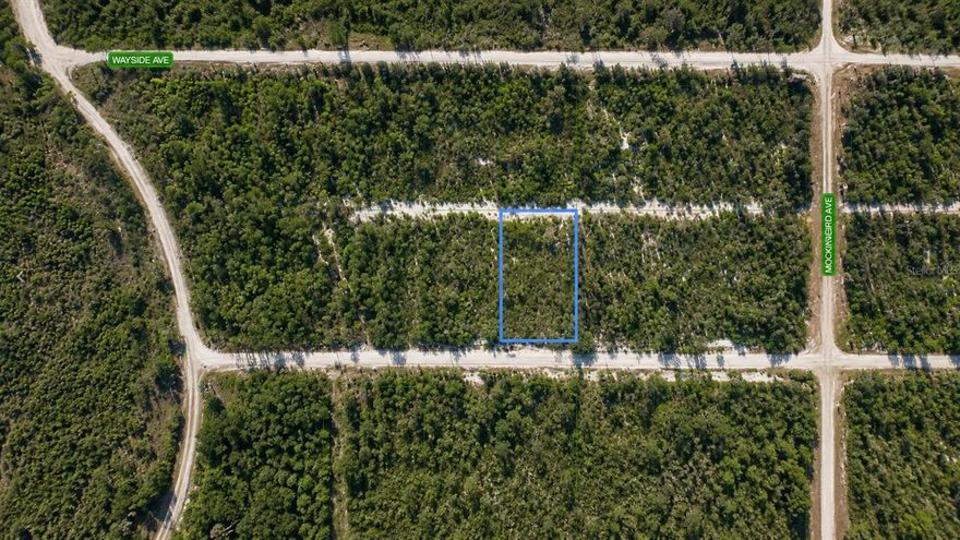 Build your dream home or invest in the future with this residential vacant lot in Highlands County. Located in a growing area making it ideal for both homeowners and investors alike.

Surrounded by Florida’s natural beauty, you’ll enjoy a quiet setting while still being within driving distance of shopping, dining, and everyday essentials in nearby communities such as Sebring and Avon Park. Whether you’re looking to build now or hold for future appreciation, this lot presents a great opportunity in an up-and-coming area.

With no existing structures, you have a blank canvas to design and build to your exact vision. Don’t miss the chance to own land in a region known for its lakes, outdoor recreation, and relaxed lifestyle.

Secure your piece of Florida land today!