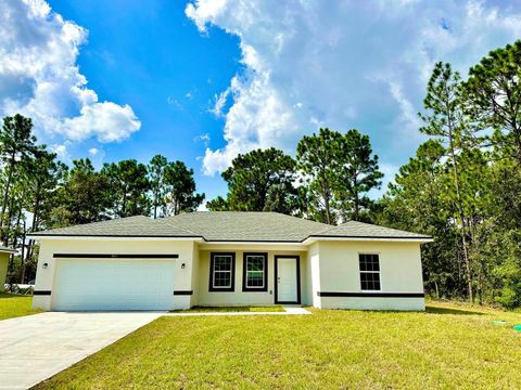 A home in CITRUS SPRINGS