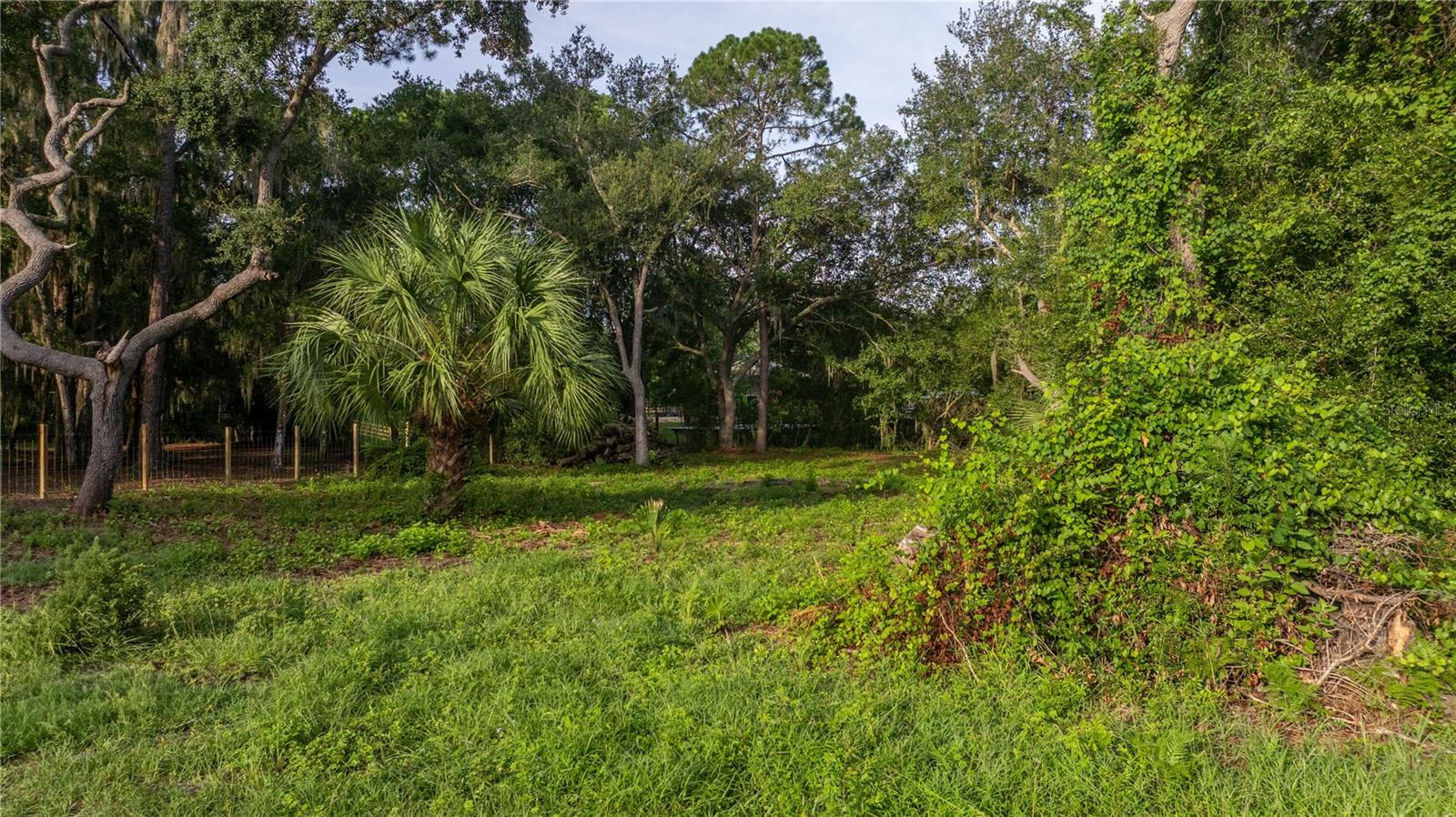 LAKE GEORGE MANOR - Land