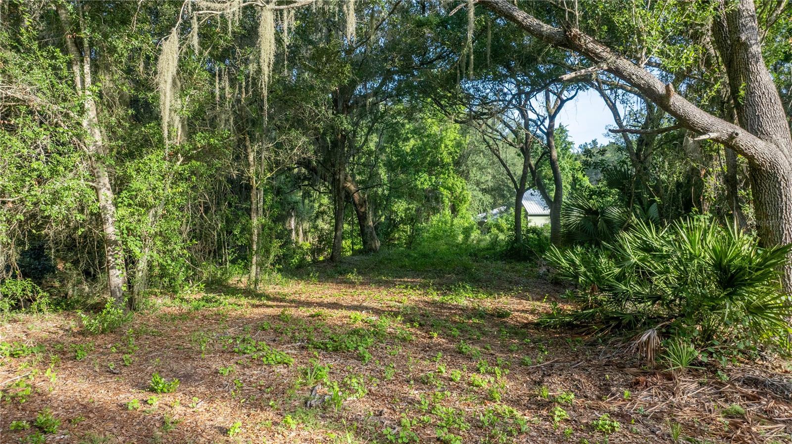 LAKE GEORGE MANOR - Land