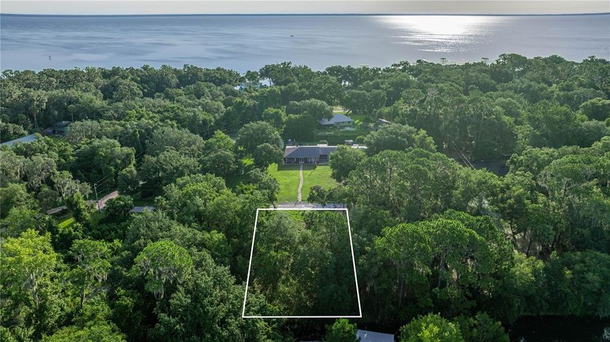 Scenic 0.25-acre lot on a pristine, spring-fed canal with nearby artesian wells—just a short boat ride to Lake George. Enjoy deeded access to the M-Port Marina boat ramp, just around the corner. Conveniently located near the town of Salt Springs for dining, shopping, and recreation. Plus, you're just minutes from the world-renowned Silver Glen Springs, Salt Springs, and Juniper Springs—some of Florida’s most breathtaking natural destinations. This property is a must-see to truly appreciate its potential! *Seller will build to suit*