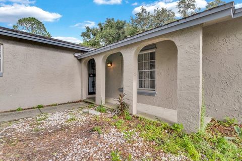 A home in BRANDON