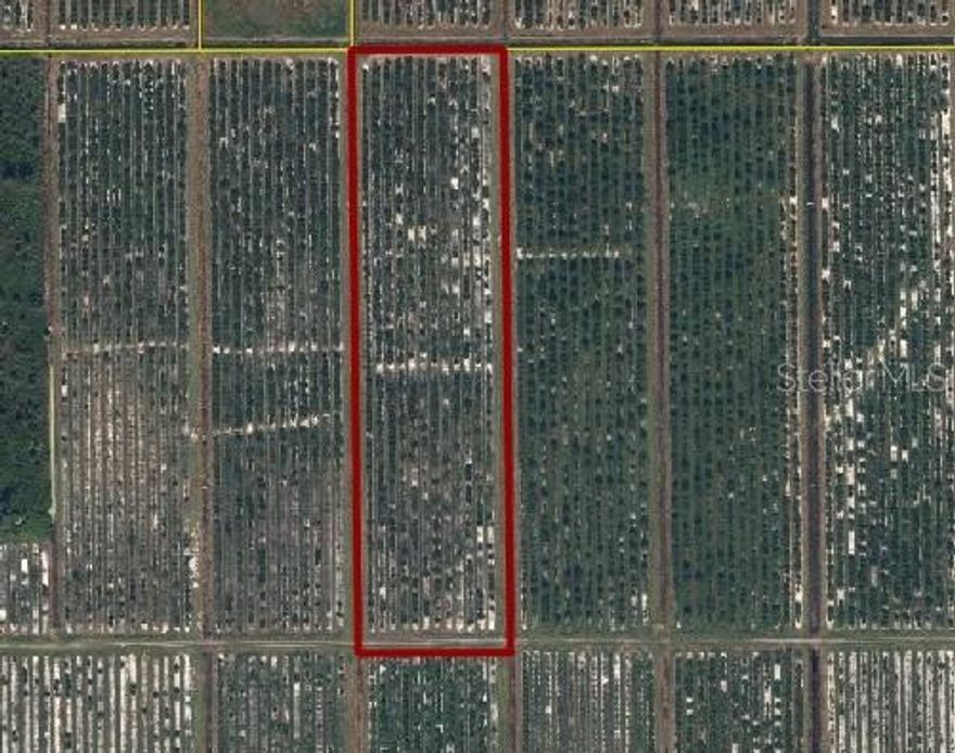 Here’s your chance to own ten acres of former citrus grove land right in the heart of DeSoto County. Surrounded by working fruit groves, this property puts you in the middle of a true agricultural community. Whether you envision restoring it back to citrus, experimenting with new crops, or clearing it completely for another use, this land is a versatile starting point. With flat terrain and plenty of open space, it’s an ideal canvas for your next agricultural or investment idea. Buyers will need to confirm with the DeSoto County Building & Zoning Departments that the property will fit their specific goals. Don’t miss the opportunity to shape it into something new.