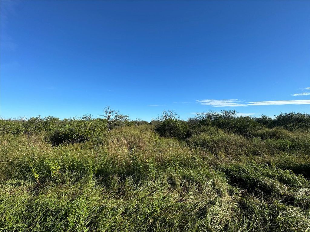Photo of NE Highway 70, Arcadia, FL 34266 (MLS # C7514751)