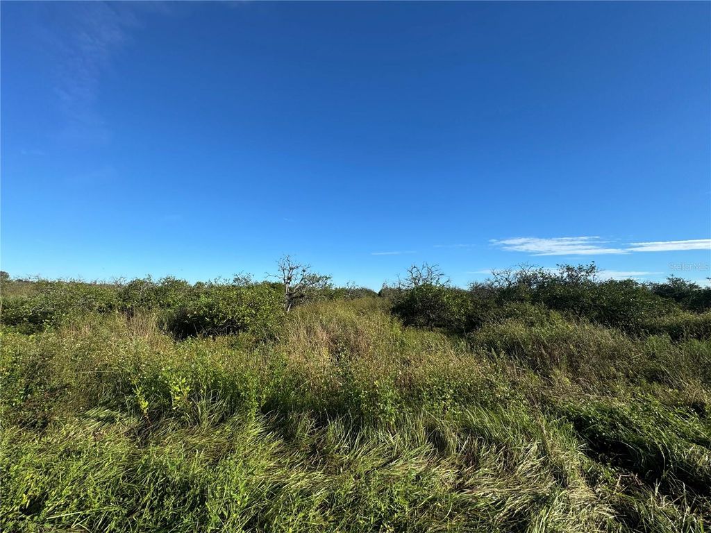 Photo of NE Highway 70, Arcadia, FL 34266 (MLS # C7514751)