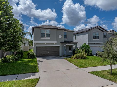 A home in RIVERVIEW