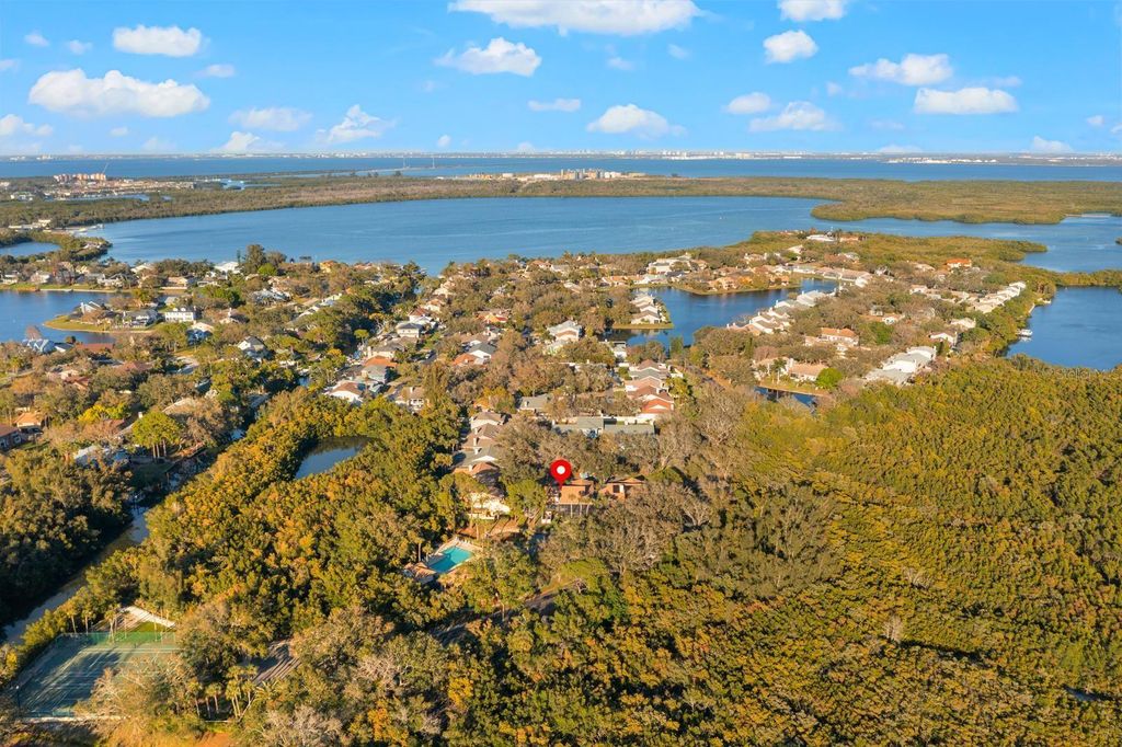 Photo of 767 Caya Costa Court NE, St Petersburg, FL 33702 (MLS # TB8435604)