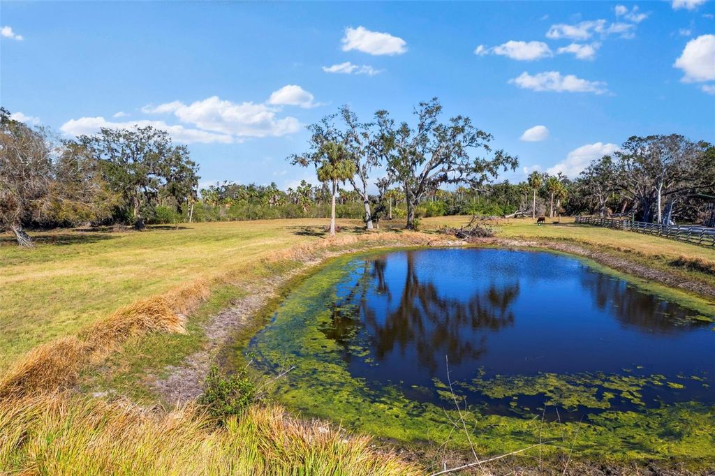 Photo of 7000 Us-19, Terra Ceia, FL 34250 (MLS # A4645750)
