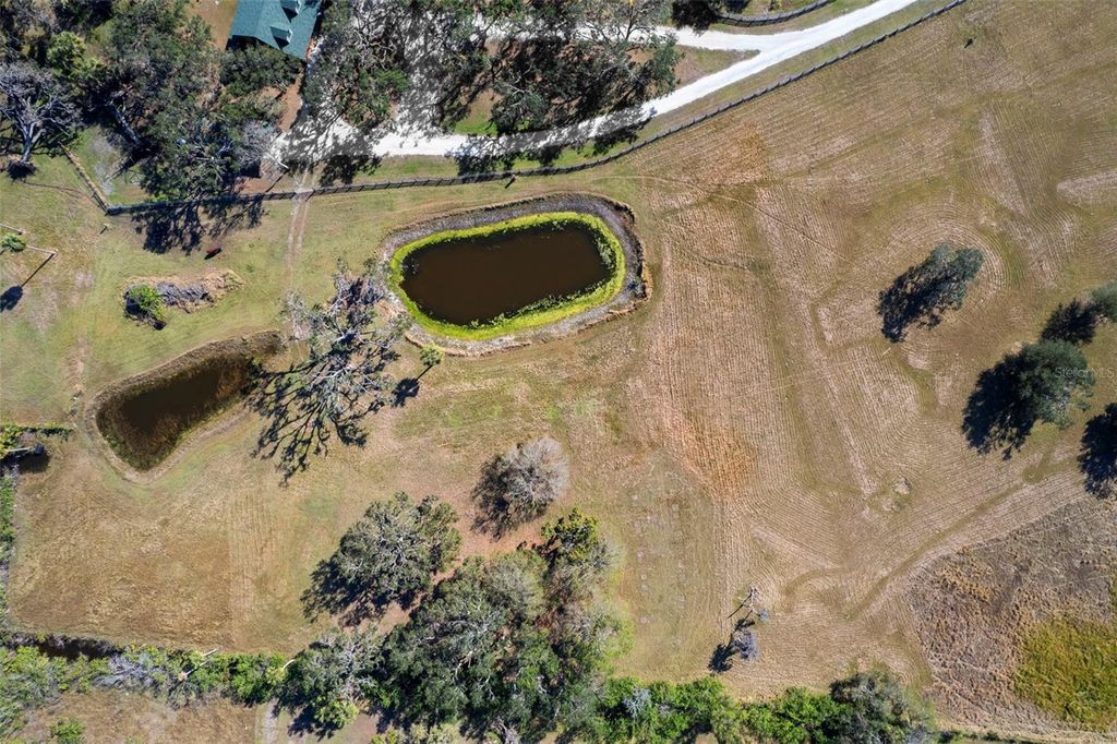 Photo of 7000 Us-19, Terra Ceia, FL 34250 (MLS # A4645750)