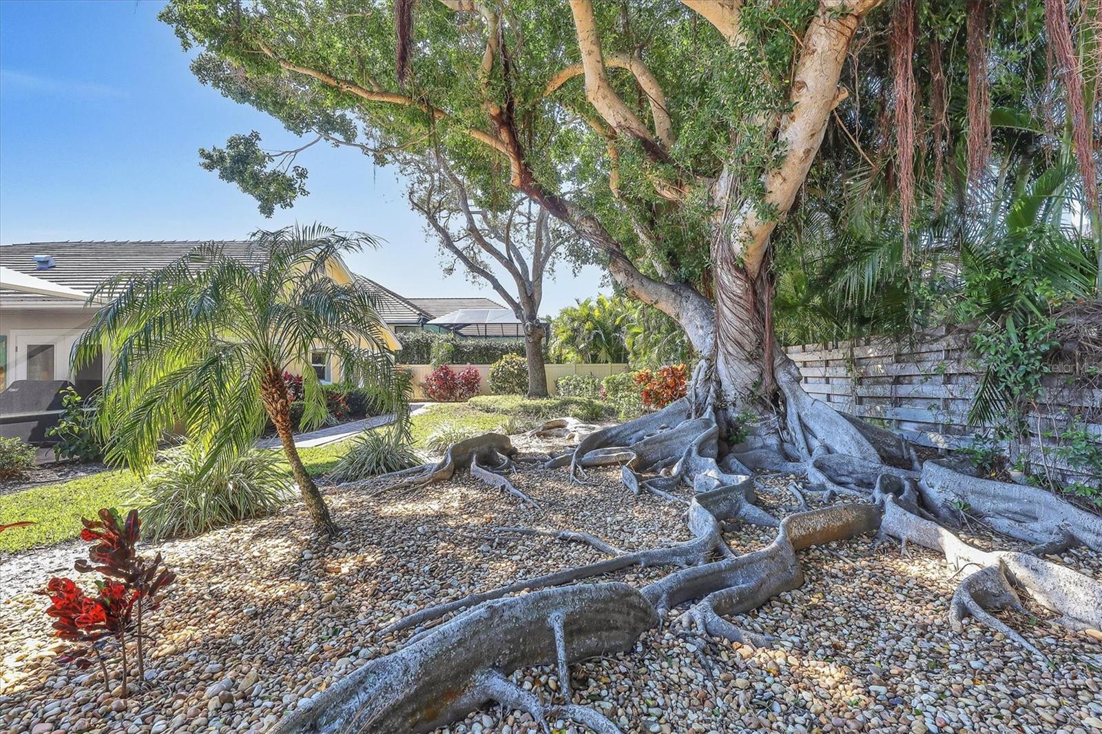 BIRD KEY SUB - Residential