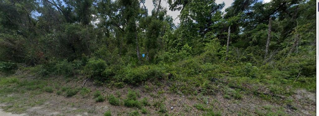 Photo of 7200 Southeast Avenue, Webster, FL 33597 (MLS # A4675374)