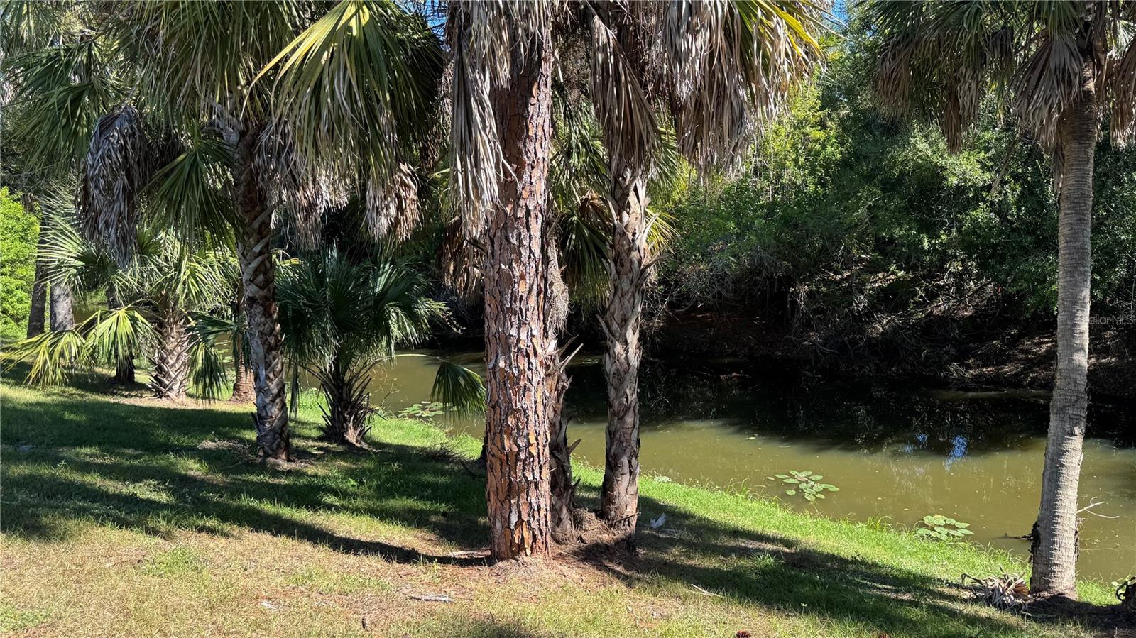 PORT CHARLOTTE SUB 51 - Residential