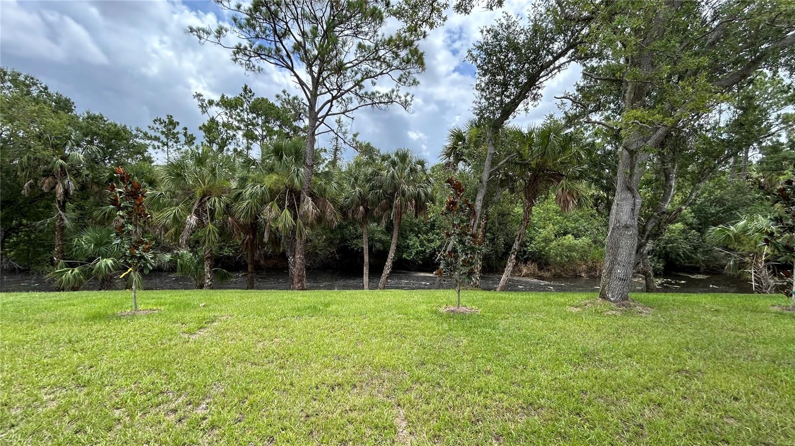 PORT CHARLOTTE SUB 51 - Residential