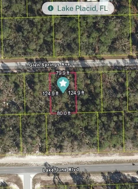 3248 GLEN SPRINGS AVENUE LAKE PLACID FL 33852
