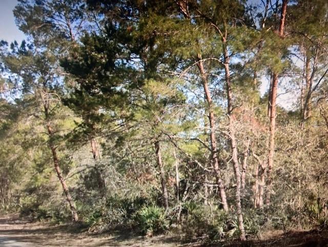 LEISURE LAKES SEC 3 - Land