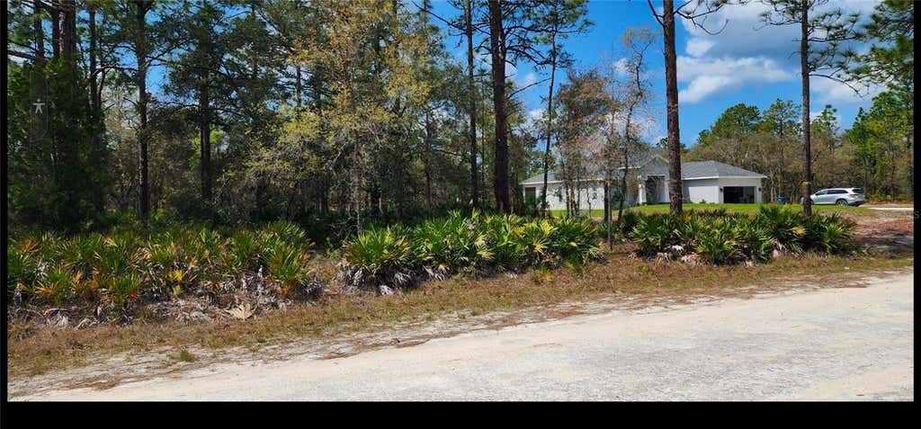 Photo of 18099 Parakeet Road, Brooksville, FL 34614 (MLS # TB8532190)