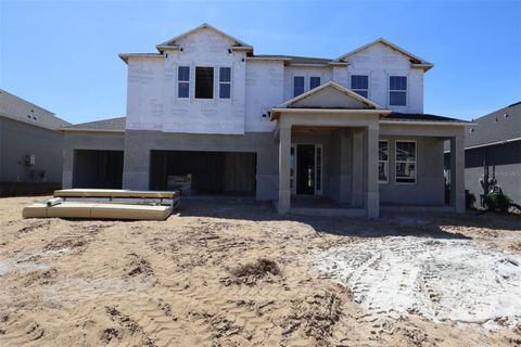 Photo of 854 Creeping Fig Street, Apopka, FL 32703 (MLS # O6388180)